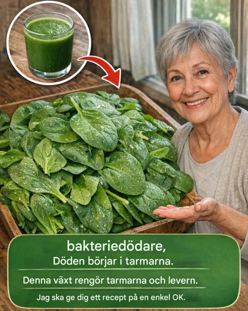 Bakteriedödare: eliminerar döden i tarmarna. Denna växt renar tarmarna och levern. Jag ska ge dig ett recept på en enkel o.k.
