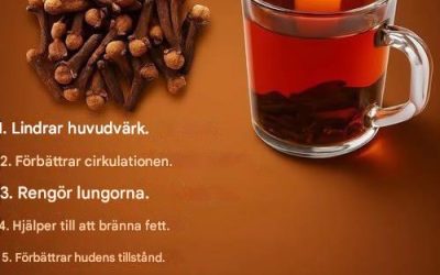 “En uråldrig krydda i ditt kök: 18 sätt som kryddnejlikete ökar hälsa, ämnesomsättning och livslängd”