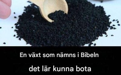 Läkeväxt från Bibeln: Ett tidlöst botemedel