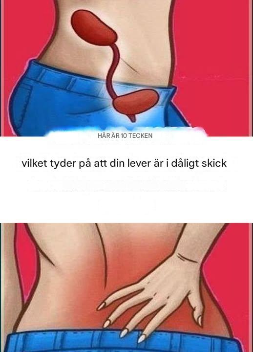 10 tecken på att din lever är ohälsosam