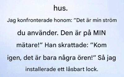 Förra veckan gick jag ut på gården i hopp om en stunds lugn och ro – och lade genast märke till något konstigt.