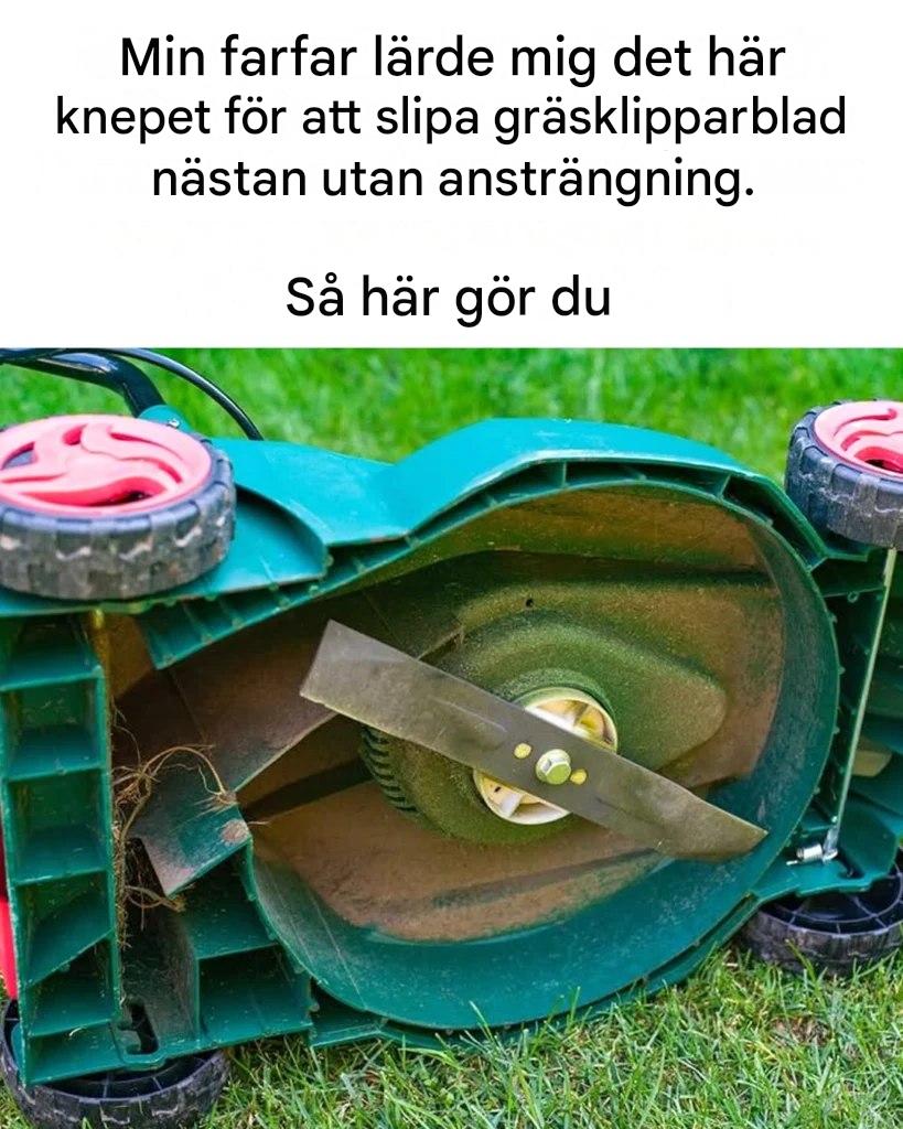 Återställ skärpan på din gräsklippare: den idiotsäkra metoden
