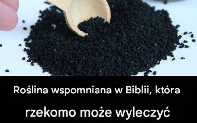 Läkeväxt från Bibeln: Ett tidlöst botemedel