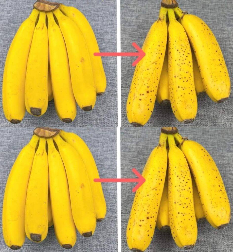 Inga fler ruttnande och svartnande bananer efter några dagar: med den här metoden håller de i 2 år.
