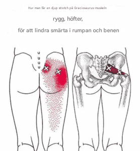 Hur man får en djup piriformisstretch för att eliminera smärta i rygg, höft, rumpa och ben