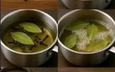 Örtte med lagerblad och kryddnejlike: en enkel infusion med starka, traditionella egenskaper