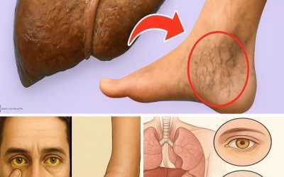 15 tysta tecken på att din lever är i problem – agera innan det är för sent.