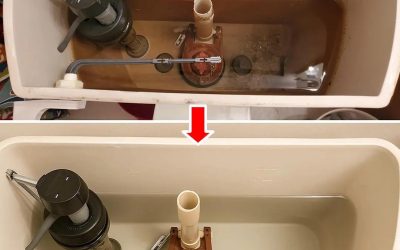 Som en förfallande toalettcistern och oåtkomlig, genom osynlig som ny