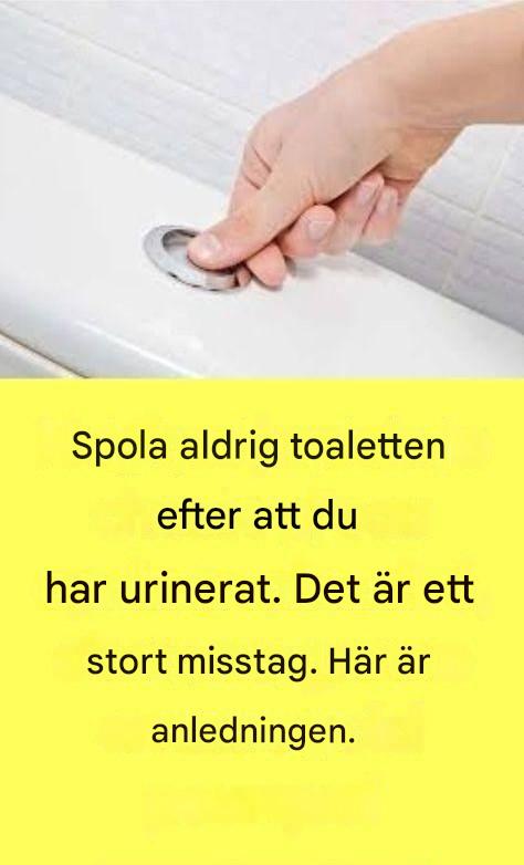 Spola aldrig toaletten efter att du har urinerat. Det är ett stort misstag. Här är anledningen.