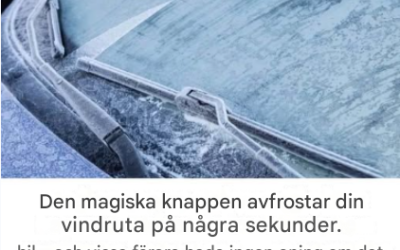 Vad fick du mest ut av det? Det visar vilken typ av kvinna du är.
