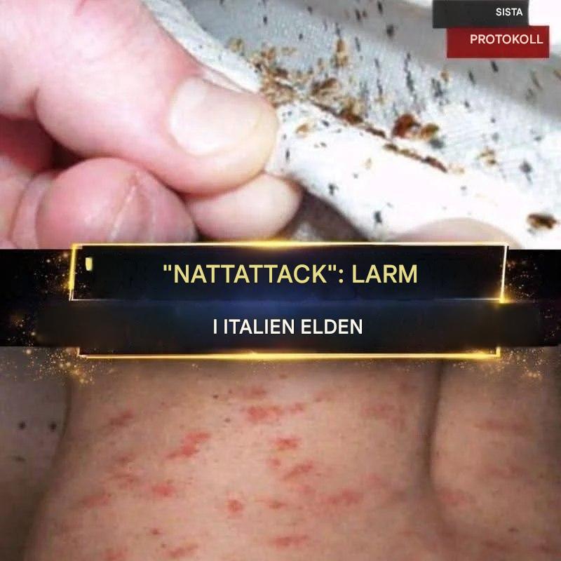 “De slår till på natten.” Larm ljuder i Italien. (1 / 2)