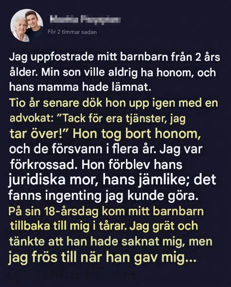 Hon tog mitt barnbarn ifrån mig efter att jag hade uppfostrat honom – år senare återvände han förvandlad