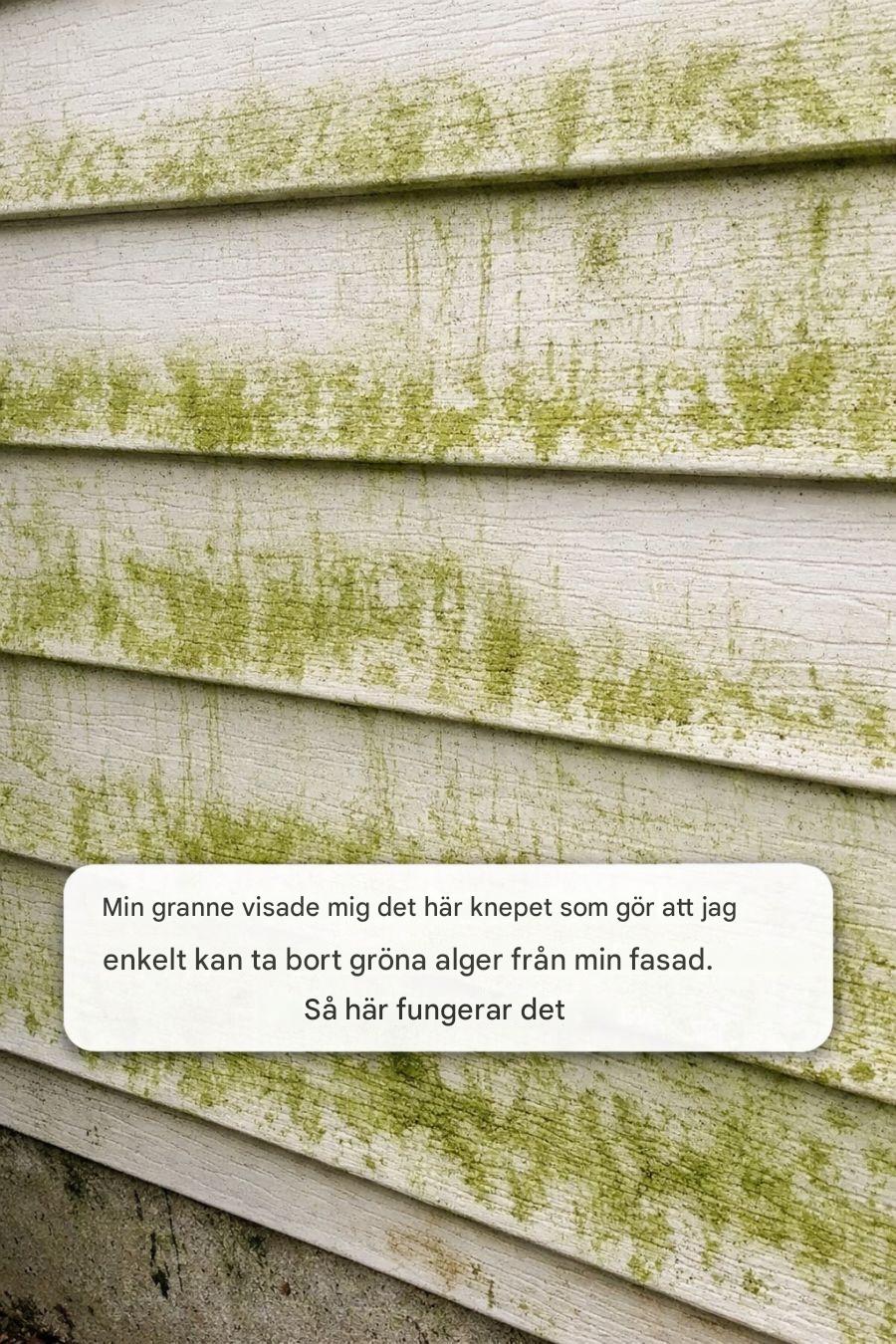 Min granne lärde mig det här knepet som enkelt tar bort gröna alger från min fasad. Så här fungerar det.