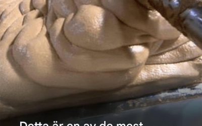 Den här maten du konsumerar varje vecka är ett riktigt gift för din kropp… läs mer i den första kommentaren