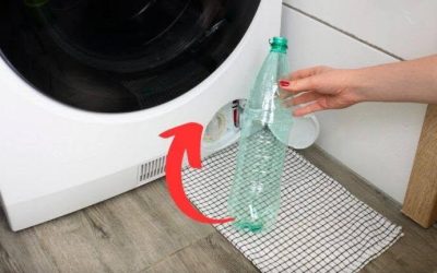 🧼 Briljanta hushållsknep: Så här gör du din tvättmaskin riktigt ren – och din vardag betydligt enklare 😳✨