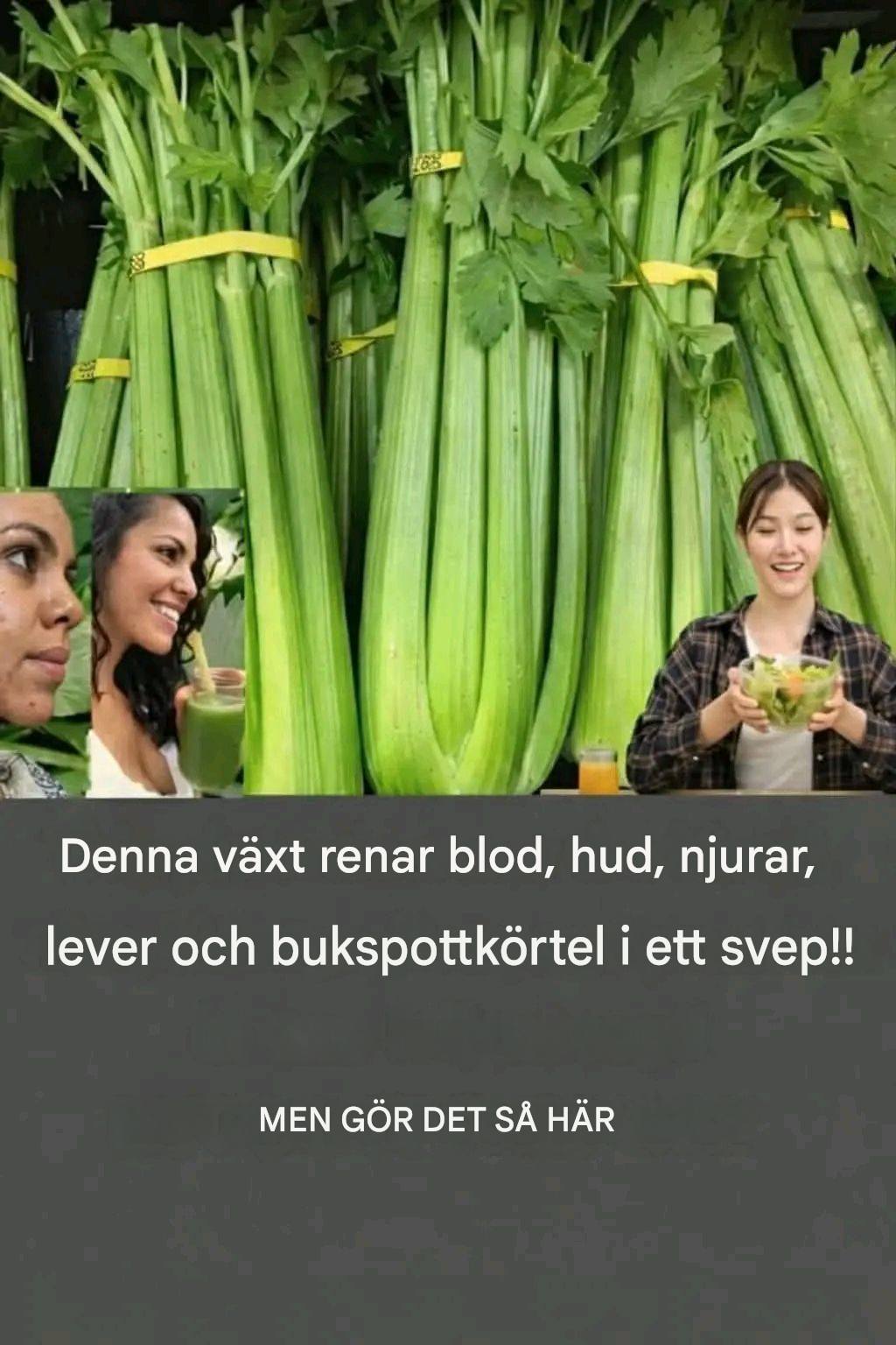 Denna växt renar