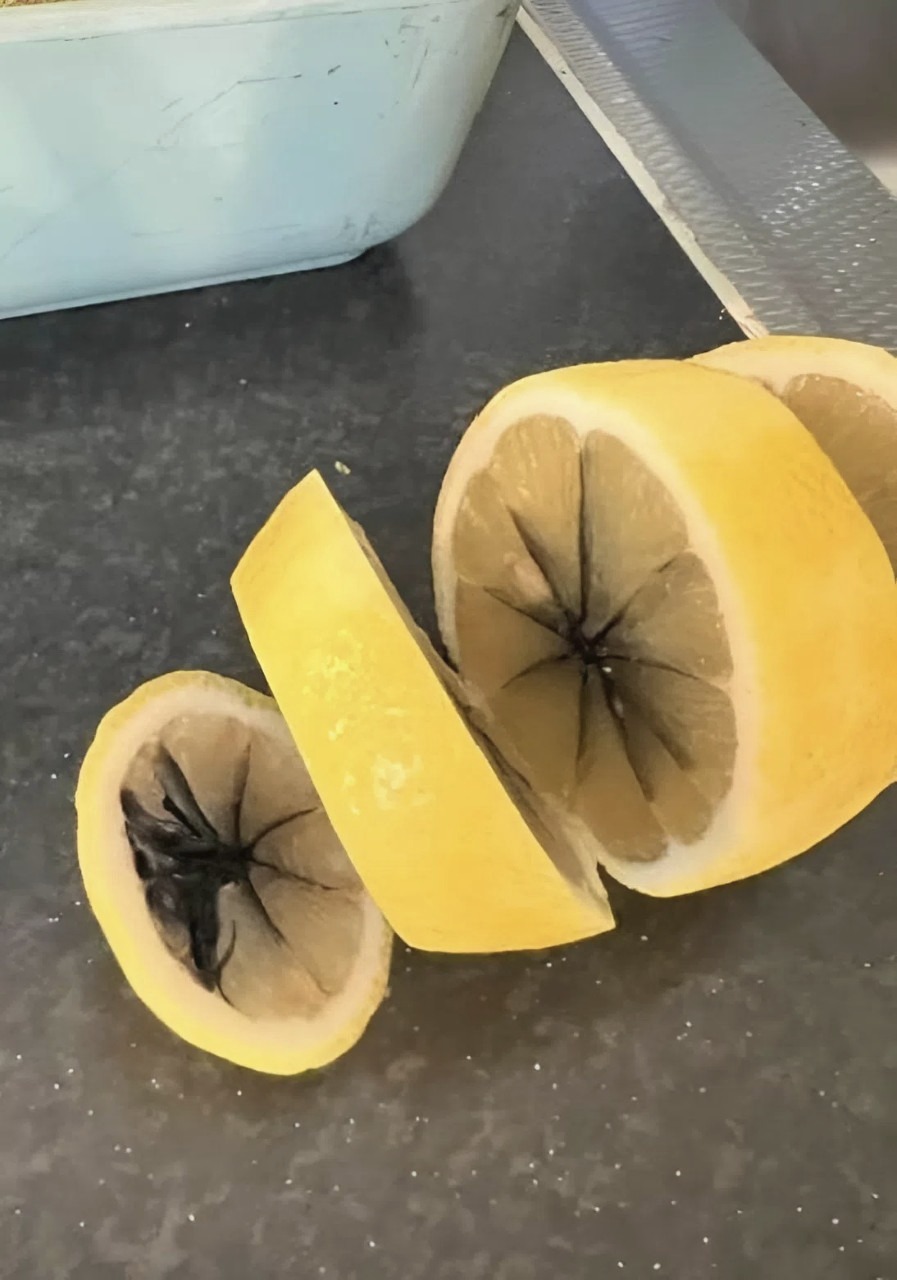 Medan jag skar en citron upptäckte jag något konstigt inuti … och jag blev förvånad när jag insåg vad det var.