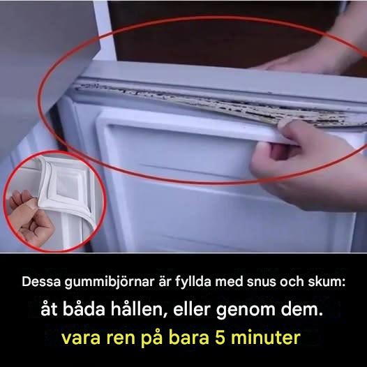 Så här rengör du en gummitätning i kylskåpet på bara 5 minuter