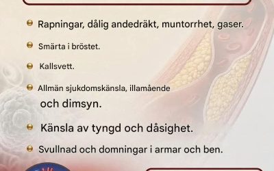 Få ett slut på högt kolesterol: Naturliga sätt att stödja hjärthälsan och förbättra kolesterolnivåerna