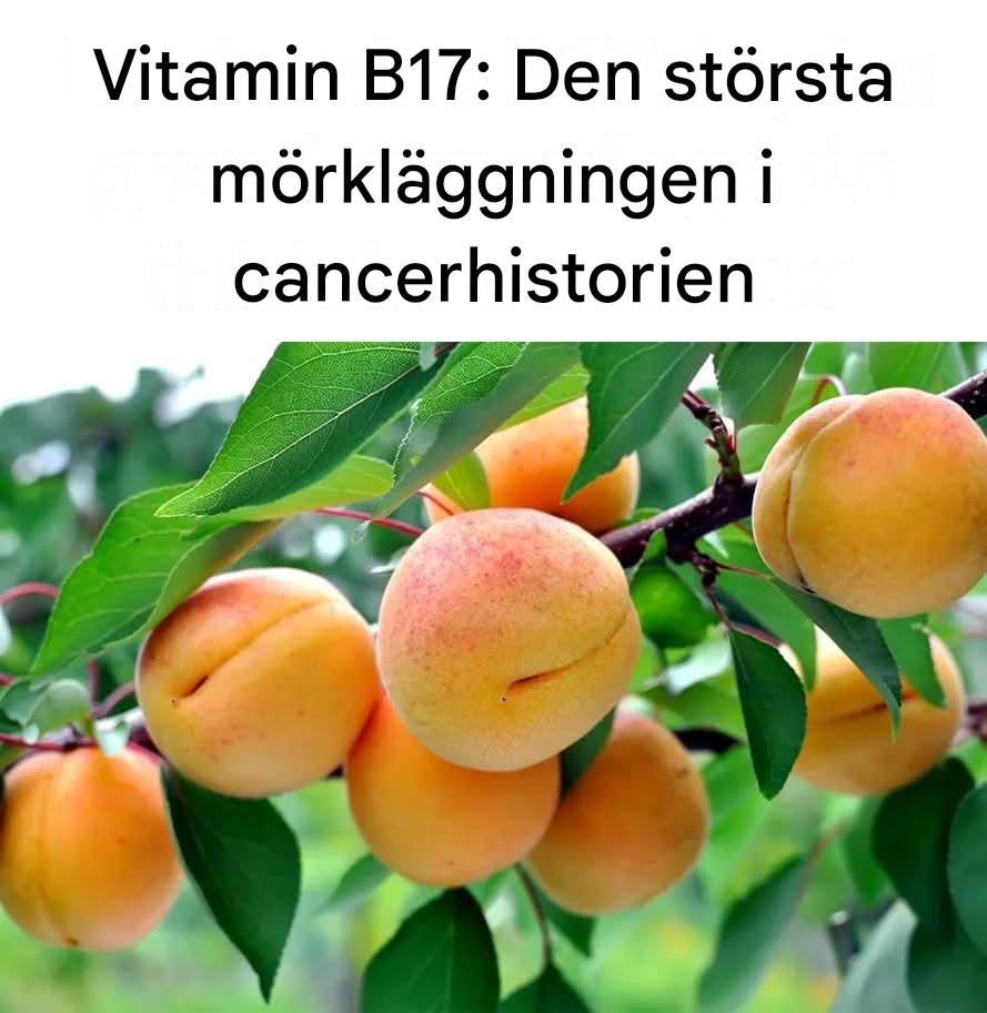 Vitamin B17: Historiens största kamouflage av cancer – Kosttillskott