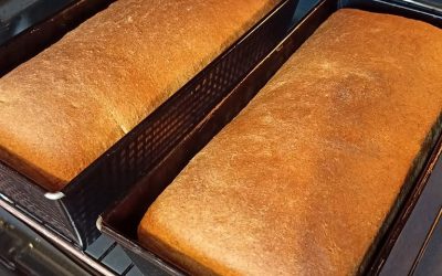 Ingen krångel, bara ren njutning! 🌾 Prova detta enkla grahamsbröd – hälsosamt, mättande och färdigt med minimal ansträngning. Perfekt både på