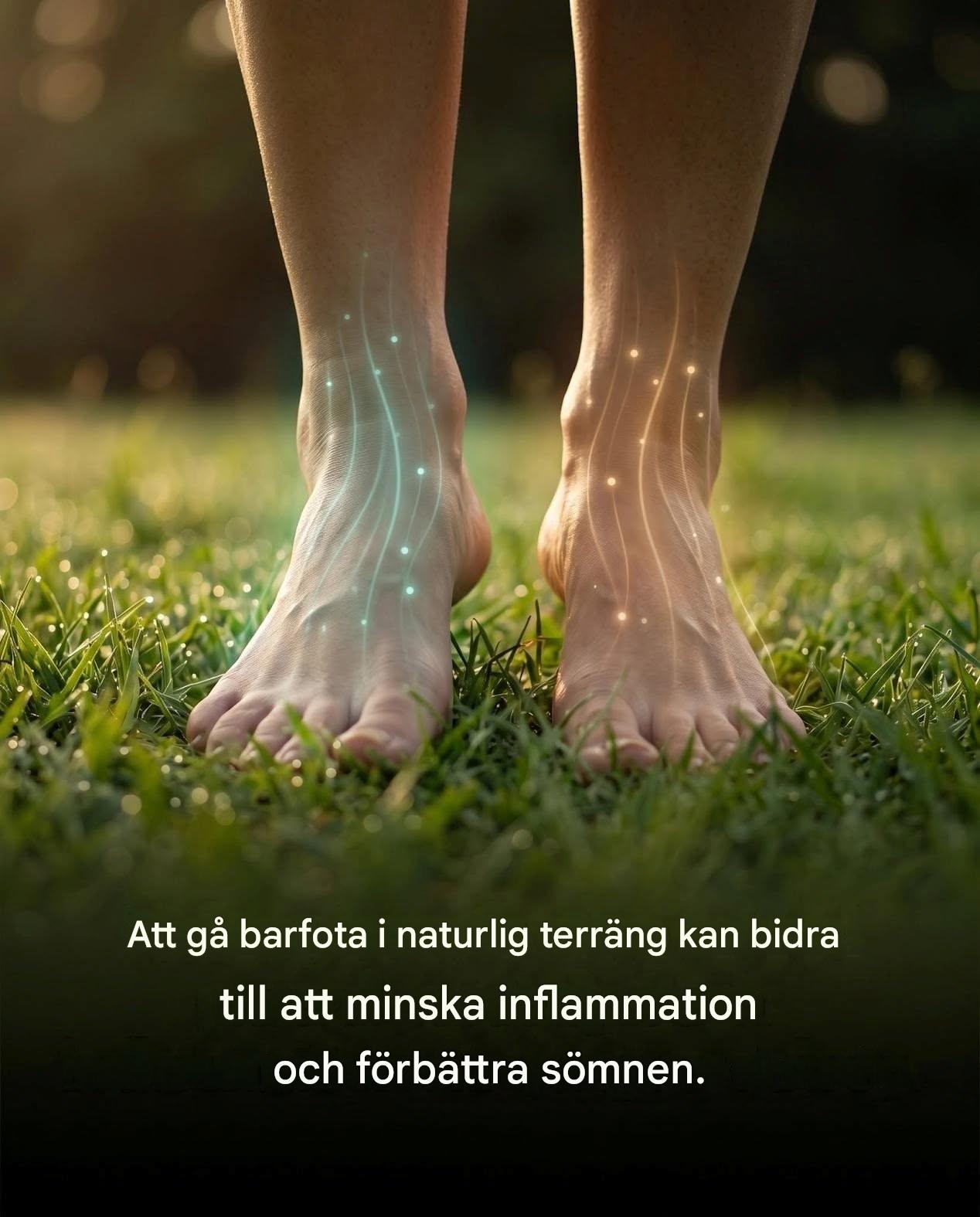 Jordning, även känt som jordning, är den enkla praktiken att få direkt hudkontakt med jordytan, till exempel att gå barfota på gräs, jord eller sand. Det ansågs en gång vara en rent traditionell hälsopraktik, men har börjat locka till sig expertgranskad forskning med några intressanta inledande resultat.