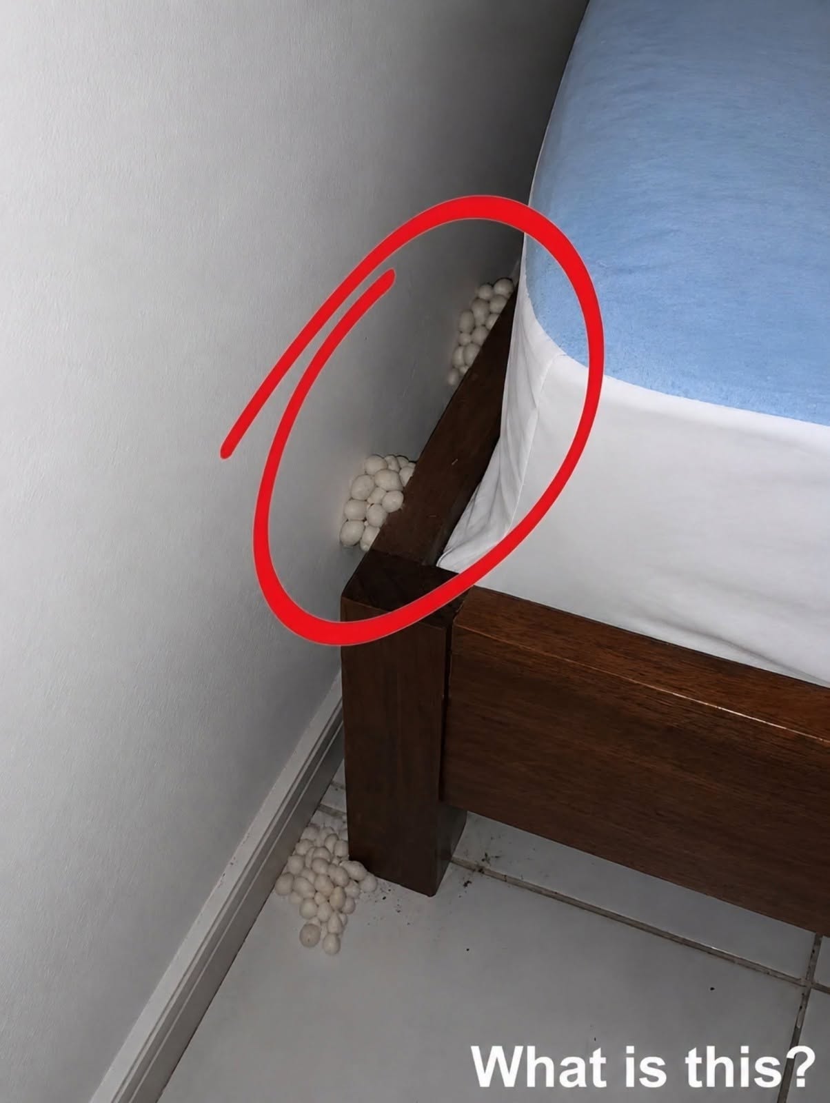 Jag kom hem utmattad i hopp om en lugn natt, men en detalj sa mig att något var fel.
