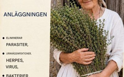 Bara ett oreganoblad om dagen så slipper du…se mer