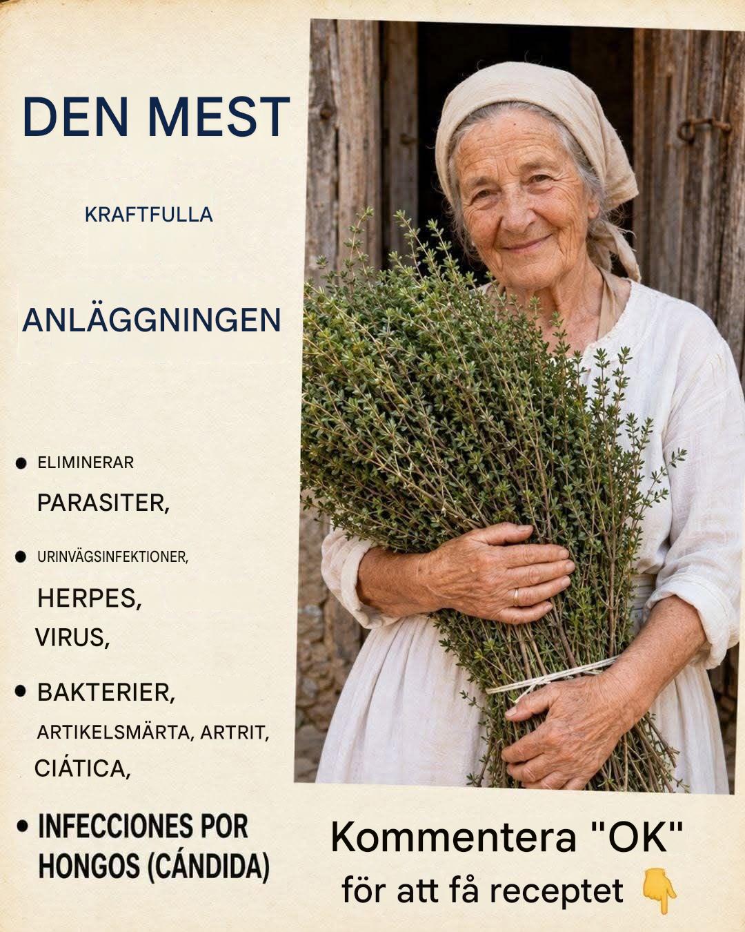 Bara ett oreganoblad om dagen så slipper du…se mer