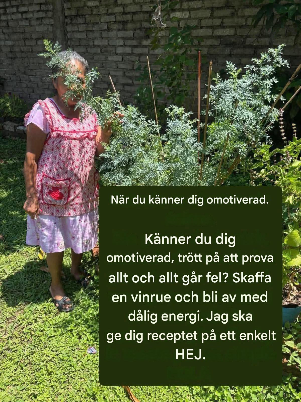 Naturliga botemedel mot huvudvärk