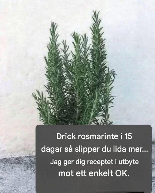 Det kallas naturligt morfin eftersom det lindrar muskel-, led- och reumatisk smärta. För att fortsätta få min