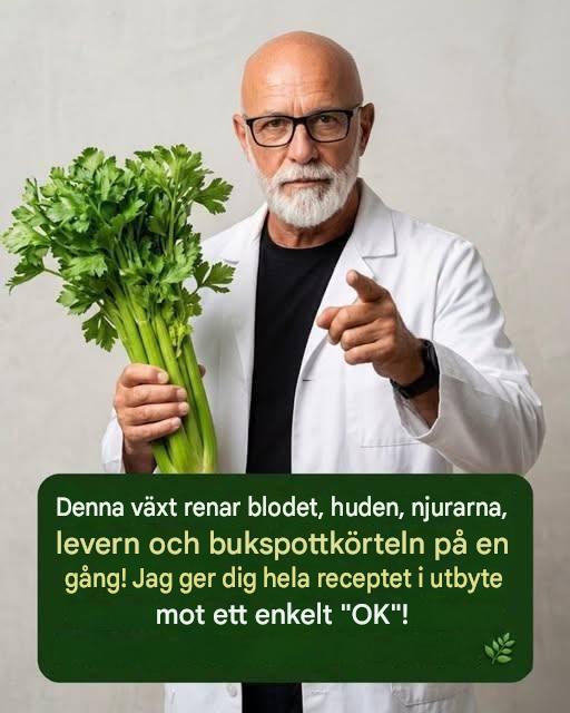 Sellerijuice för att rensa njurar, lever och lungor