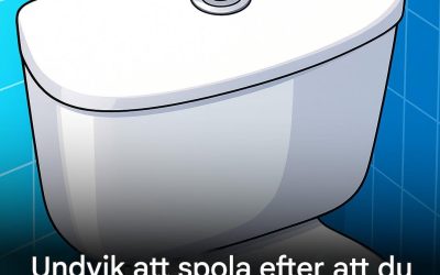 Toalettspolning: varför inte spola varje gång?