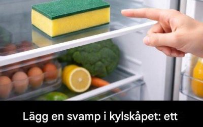 Lägg en svamp i kylskåpet: ett irriterande problem kan försvinna för gott.