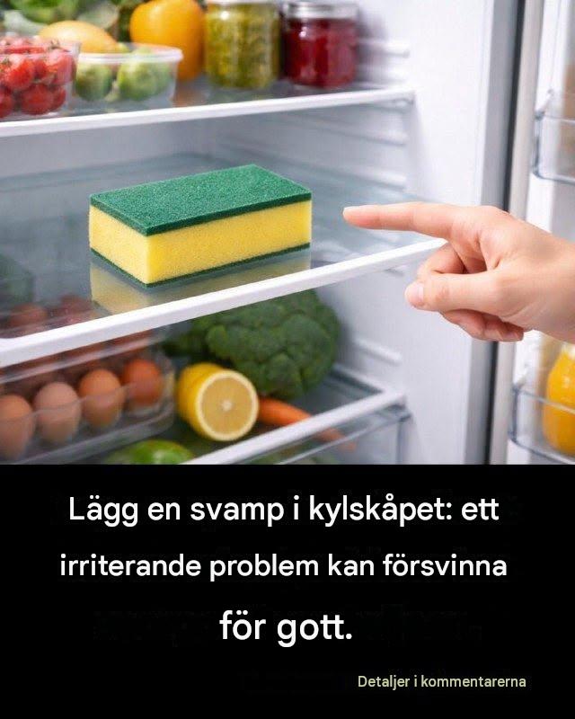 Lägg en svamp i kylskåpet: ett irriterande problem kan försvinna för gott.