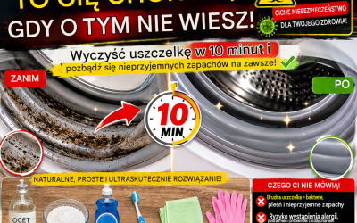 Hur man rengör en tvättmaskins tätning: en metod som tar bort mögel och obehagliga lukter på 10 minuter