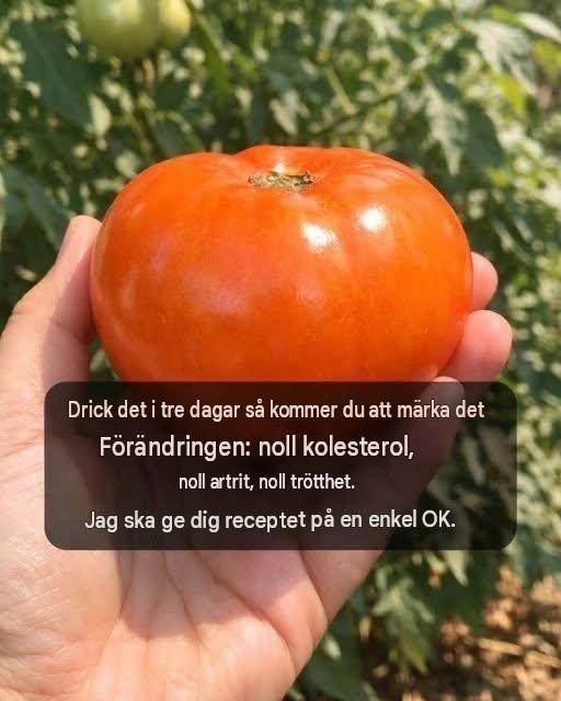 Drick det i tre dagar så märker du skillnaden: noll kolesterol, noll artrit, noll trötthet. Jag ska ge dig receptet på en enkel OK.