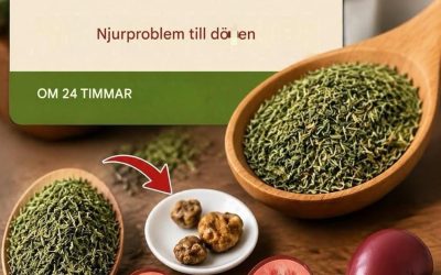 De 5 bästa kryddorna som tar bort gifter SNAB.BT och läker dina njurar naturligt.