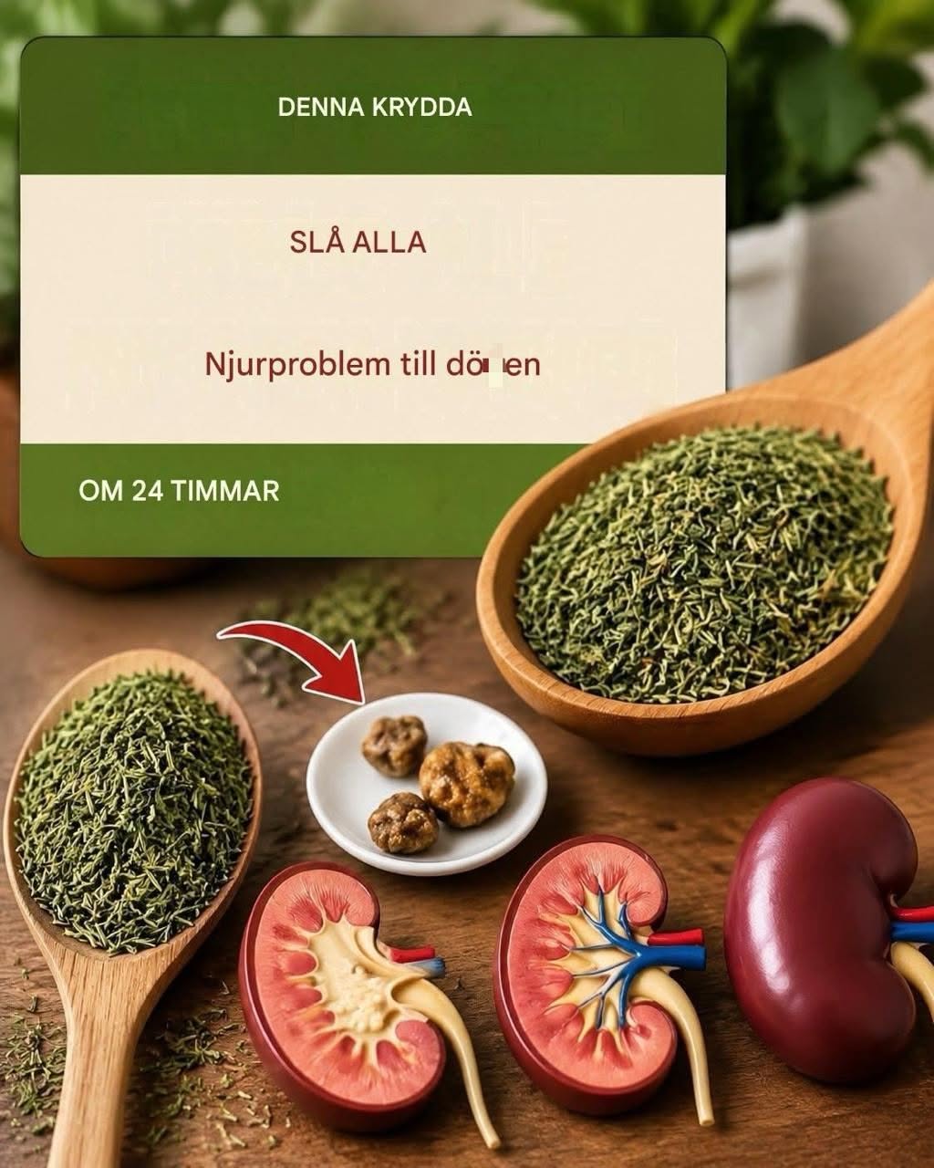 De 5 bästa kryddorna som tar bort gifter SNAB.BT och läker dina njurar naturligt.