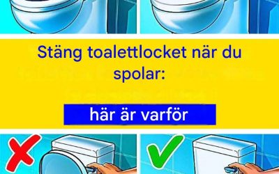 De föga kända fördelarna med att stänga toalettlocket innan spolning