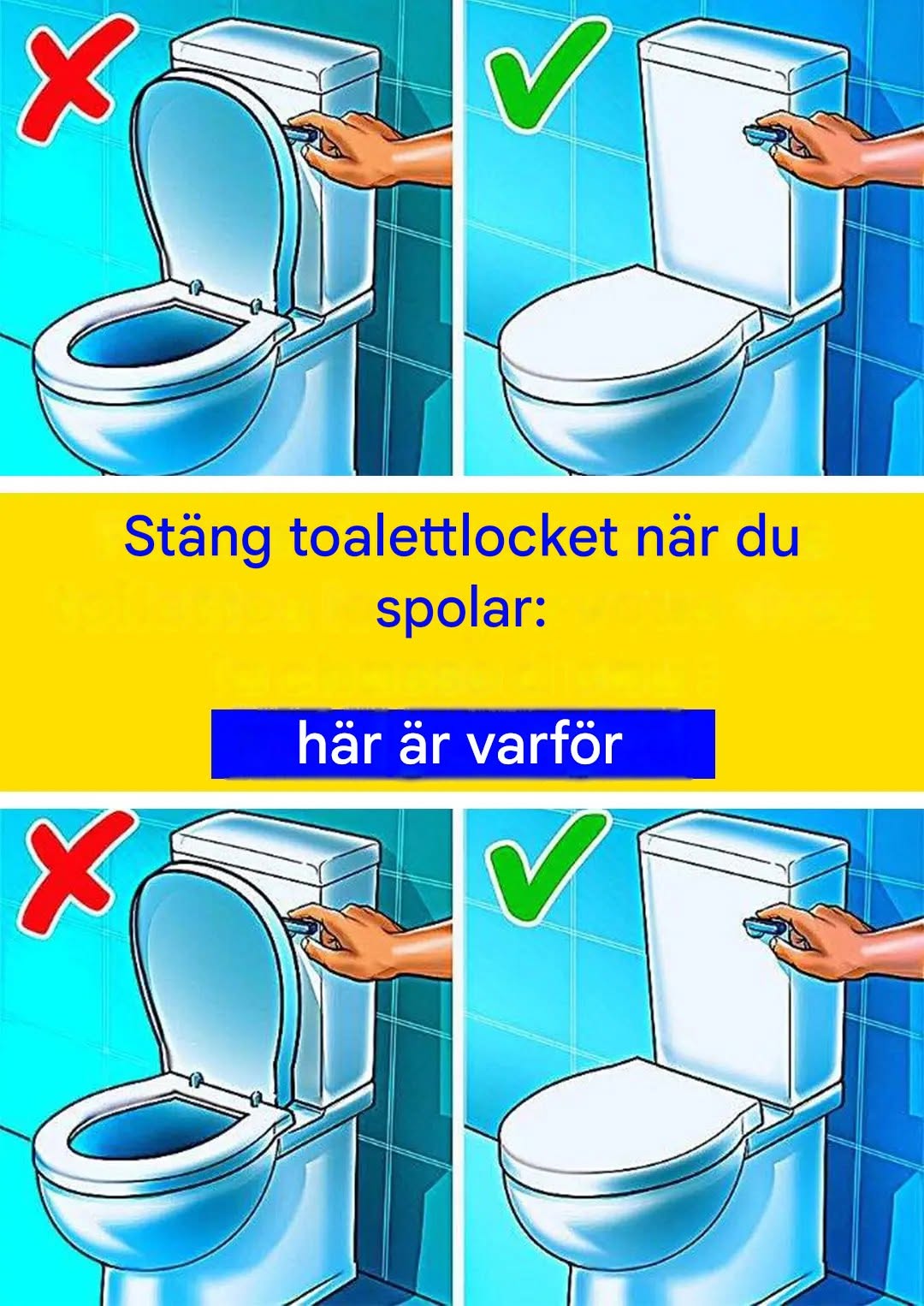 De föga kända fördelarna med att stänga toalettlocket innan spolning