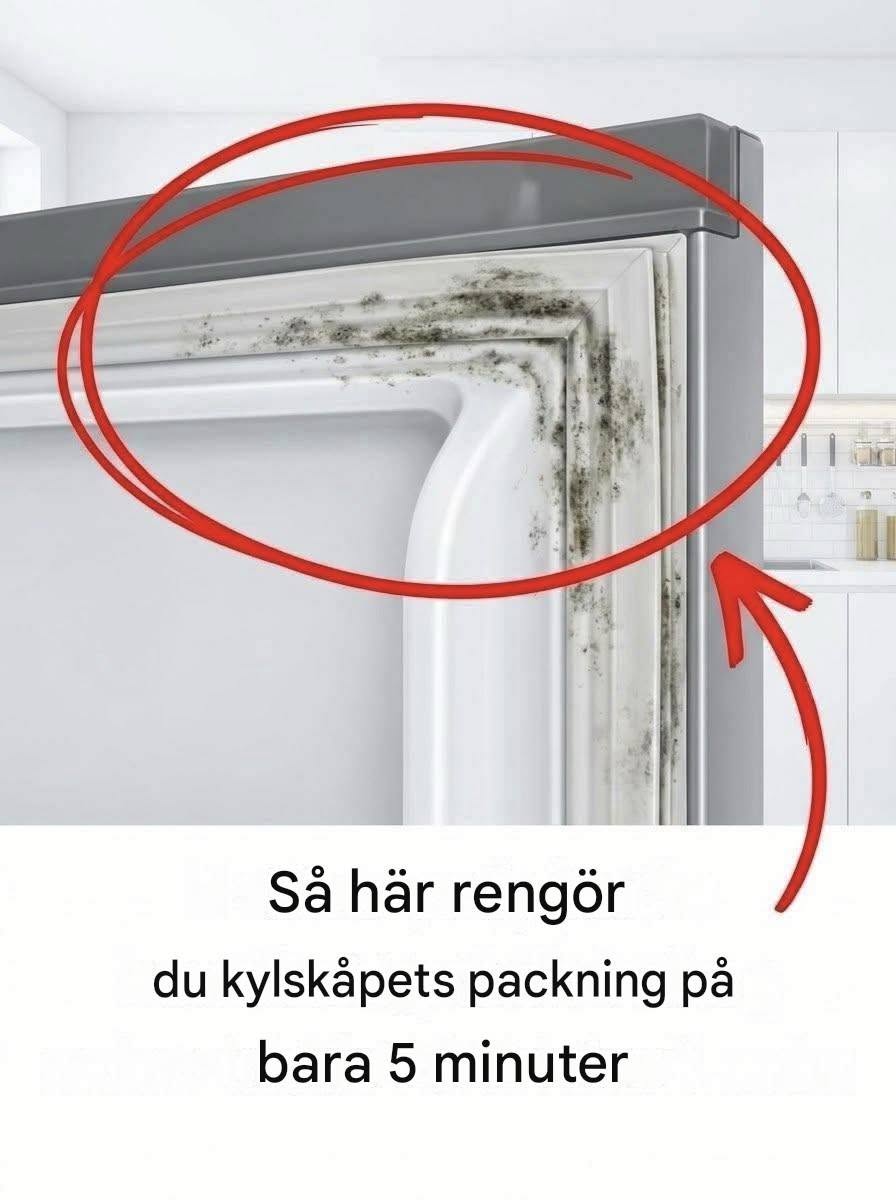 Så här rengör du kylskåpets vattentäta tätning på 5 minuter.