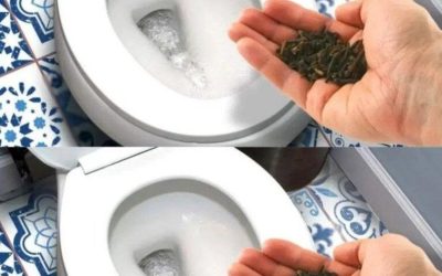 Så här blir du av med urinlukten i badrummet med ett genialt knep