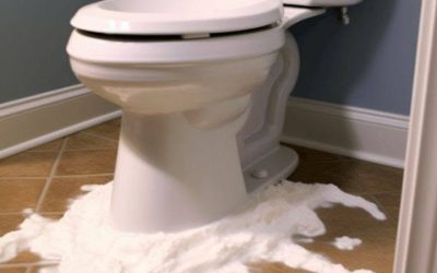 En kvinna sprayar raklödder runt toaletten av denna lysande anledning