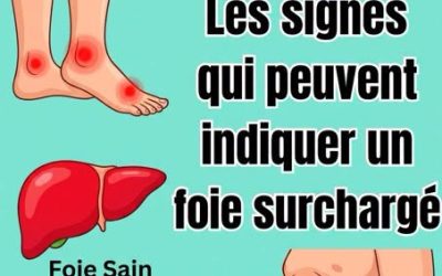 Votre foie donne-t-il l’alerte ? 11 signes qui trahissent une surcharge toxique