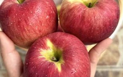 Läkare avslöjar att det har följande konsekvenser att äta ett äpple varje kväll…