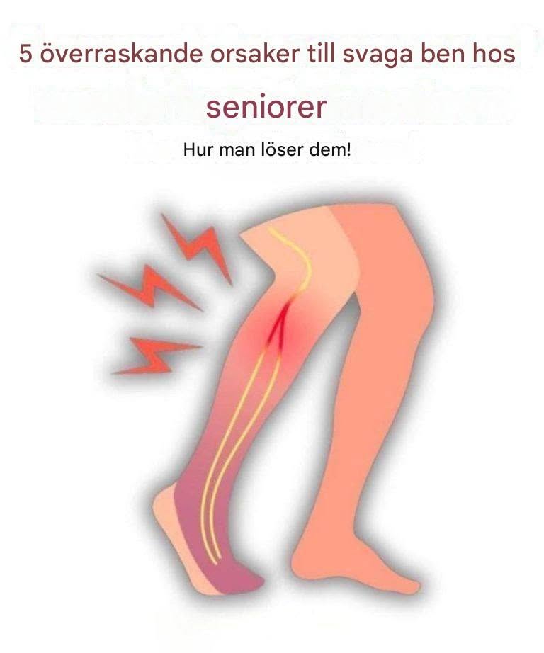5-årsåldern kommer att tas emot väl av seniorer – nu är de öar!