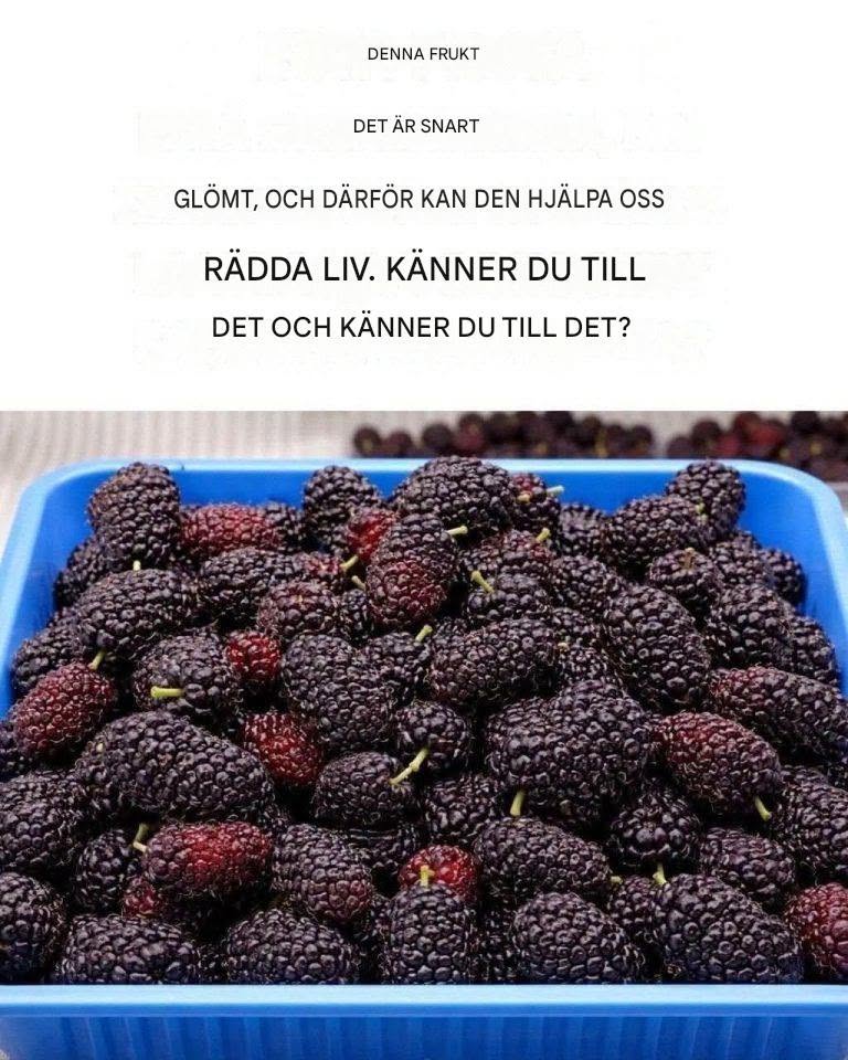Forntida frukt: Rädda ditt liv, upptäck dess kraft