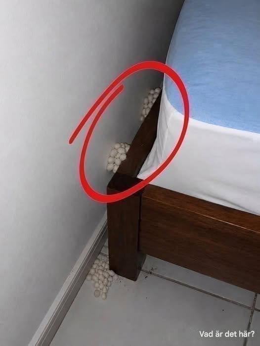 Jag kom hem utmattad och hoppades på en lugn natt, men en detalj fick mig att inse att något var fel.