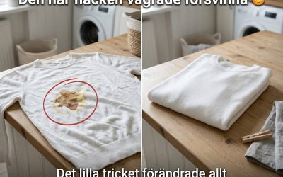 Därför försvinner vissa fläckar aldrig 👀